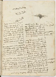 Birds Flight Code, Sheet 18 Recto